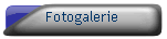 Fotogalerie